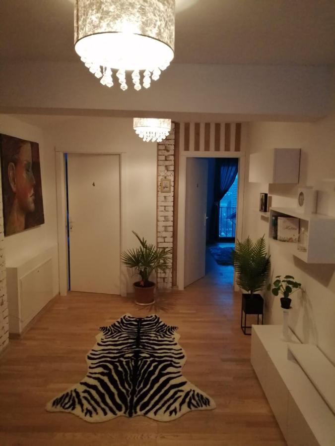 Pensiunea Timis Borşa Eksteriør bilde